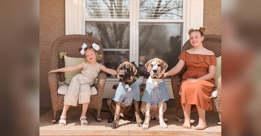 Children sitting with European Great Danes on a porch at Reager's House